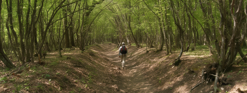 Parcul Natural Shumen Plateau