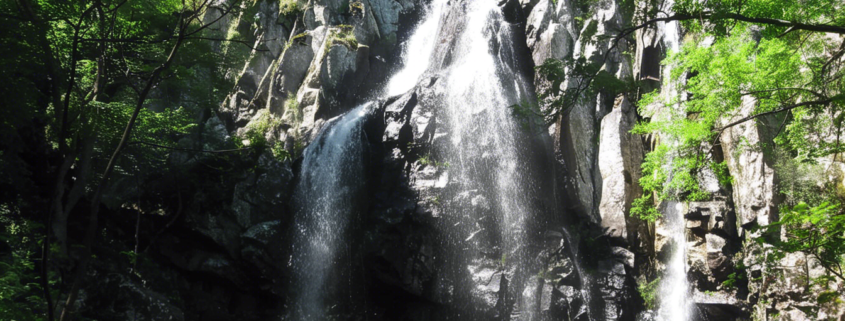 Parcul Natural Vitosha